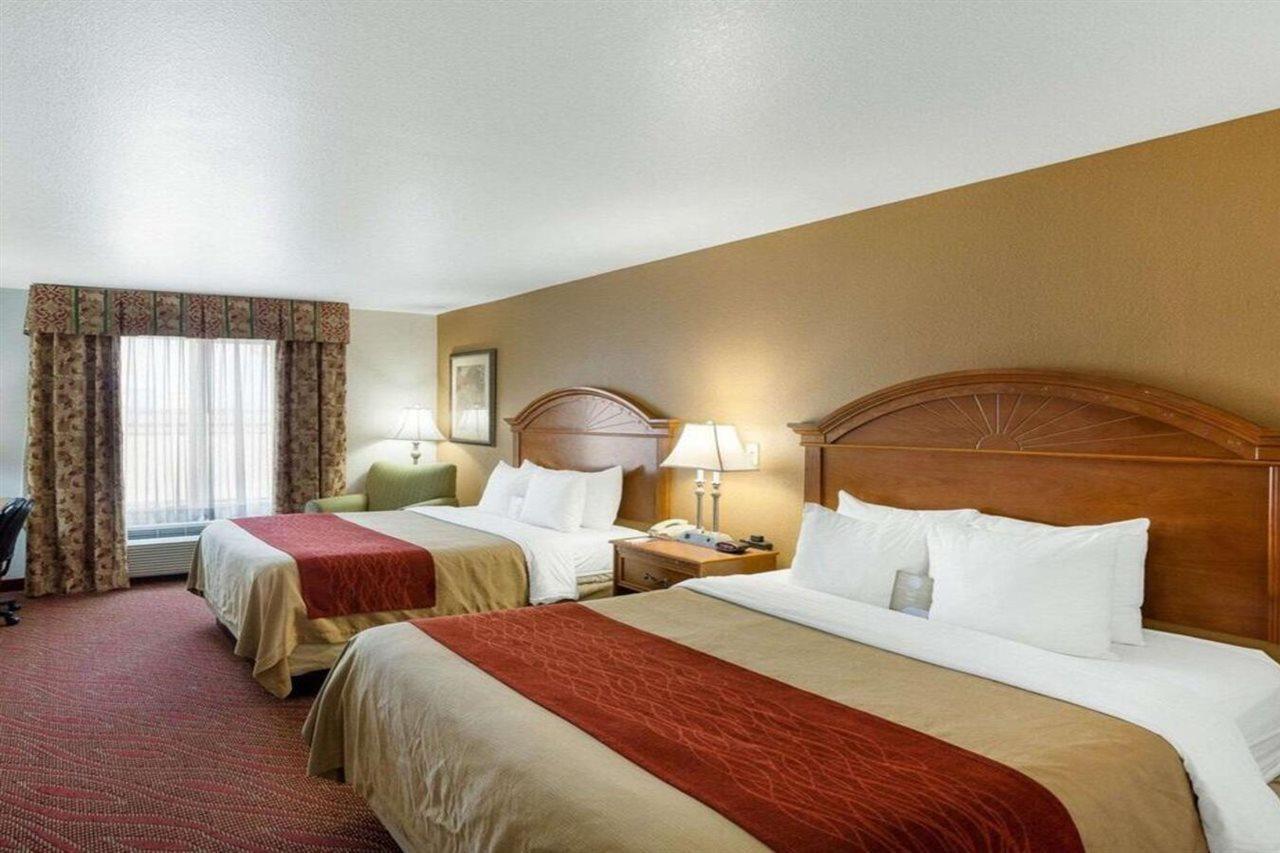 Comfort Inn & Suites Near Medical Center San Antonio Eksteriør billede