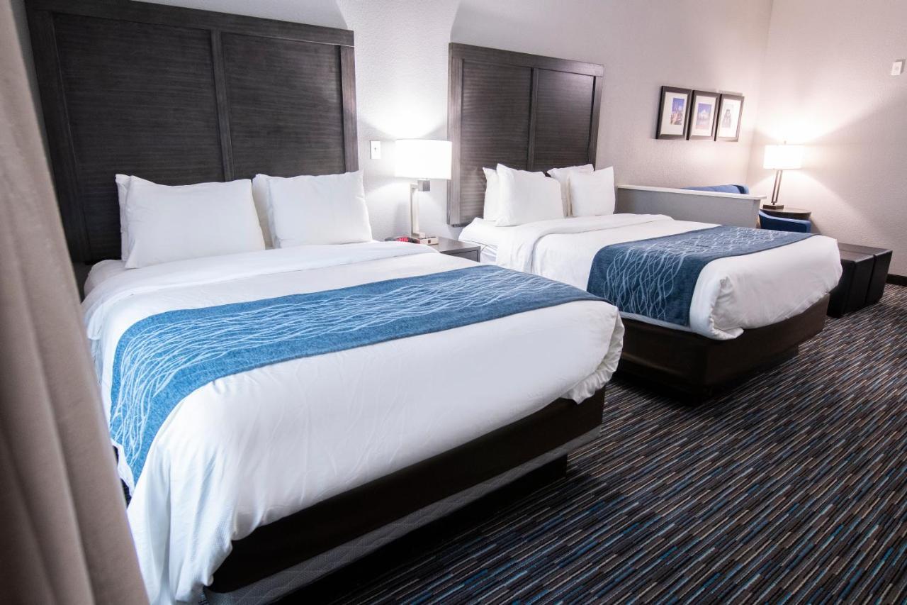 Comfort Inn & Suites Near Medical Center San Antonio Eksteriør billede