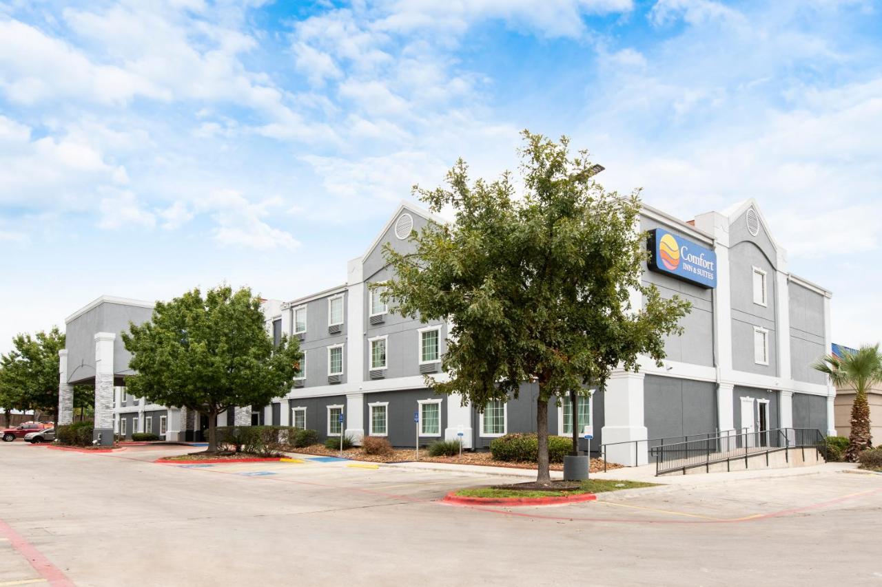 Comfort Inn & Suites Near Medical Center San Antonio Eksteriør billede